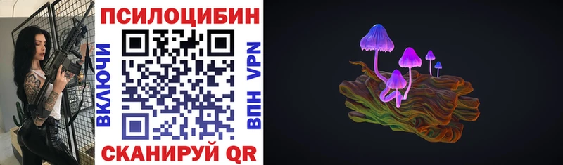 купить  сайты  Нерехта  Псилоцибиновые грибы Magic Shrooms 
